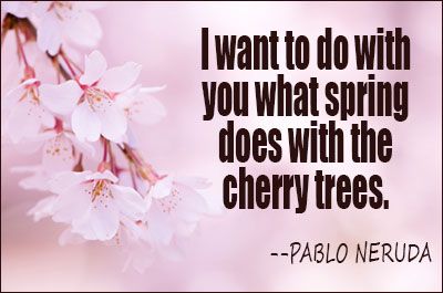i-want-to-do-with-you-what-spring-does-with-the-cherry-trees1